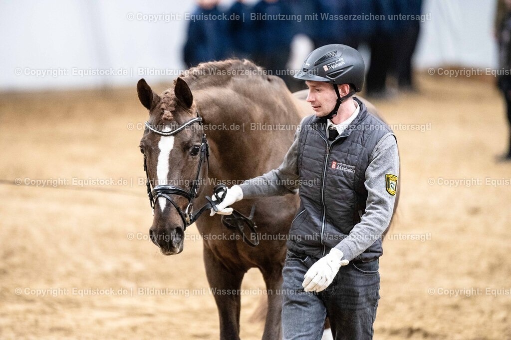 20260307_Hengstvorstellung-Marbach_0546 | equistock