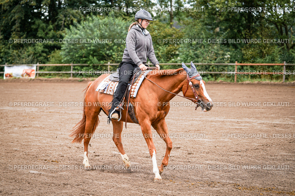 DSC05584 | Pferdegrafie