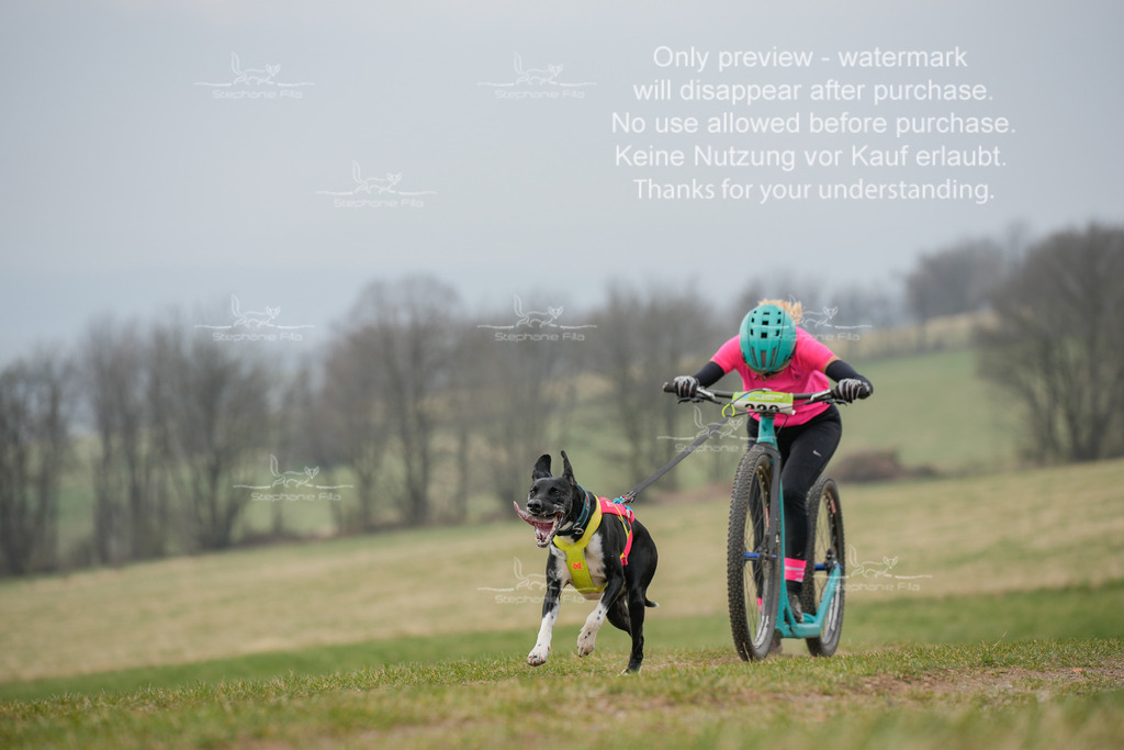 ScooterSA-106 | stephaniefillaphotographie - Realisiert mit Pictrs.com