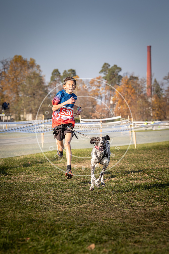 CaniXpix_0L8A8761 | Hundefotografie, Tierfotograf, Pfotenfotografie, Fotoshooting Hund, Hunde Portrait, Hundesport, Hundeportraits, Heideshooting, Hunde, Sportfotograf, Hundefotograf, Turnierhundsport, THS,  - Realisiert mit Pictrs.com