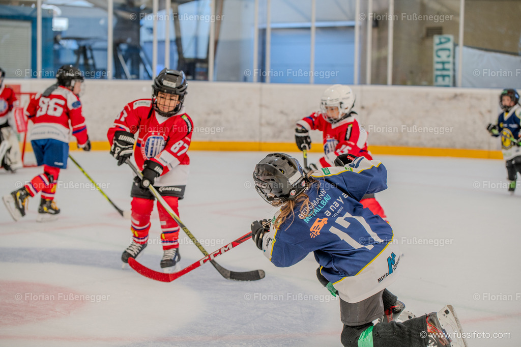 DSC_1212 | "Fussifoto.com – Ihr Ansprechpartner für hochwertige Fotografie! Entdecken Sie kreative Bilder und professionelle Dienstleistungen. Kontaktieren Sie uns für Ihre Projekte!"