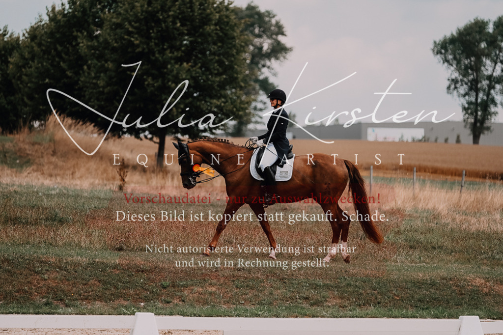 DSC_3711 | Pferde- und Turnierfotografie in Westsachsen. Pferdeportraits, Auftragszeichnungen und intuitive Kunst.