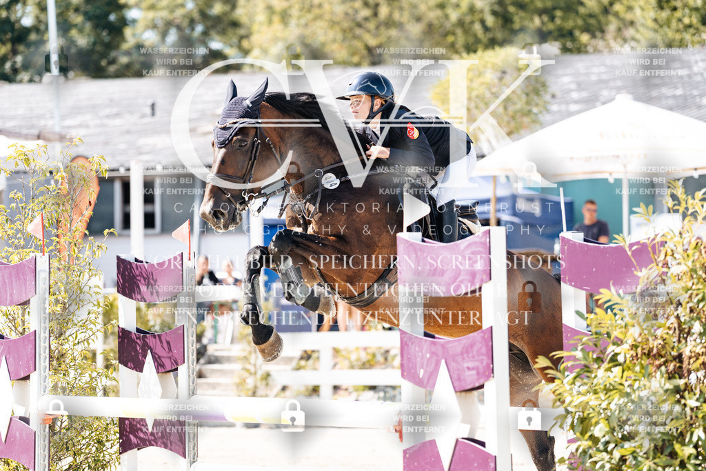 CK908537 | Turnierfotografie Pferdefotografie Trier Rheinland-Pfalz Pferdesport Reitsport Tierfotografie Sportfotografie Pferdevideo Pferdevideografie Equestrianvideography equestrianphotography  - Realisiert mit Pictrs.com