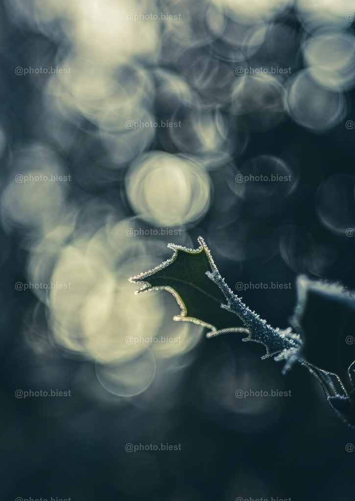 Eiszacken | Der Griff nach den Bubbles... - Realisiert mit Pictrs.com