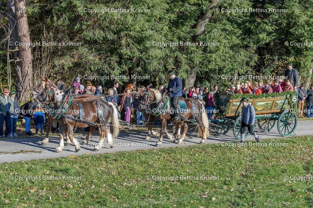 LBT25-200 | foto-bettina-krinner - Realisiert mit Pictrs.com