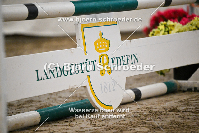 974_6203-2 | Björn Schroeder Pferdefotografie