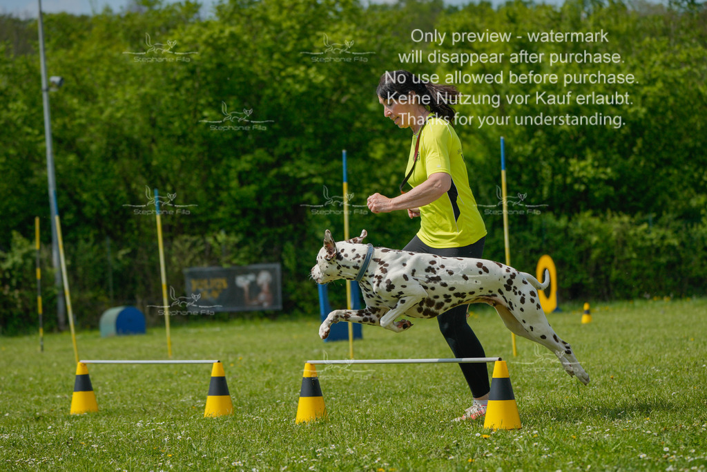 Sa_Laeufe_VK1und2_04-50 | stephaniefillaphotographie - Realisiert mit Pictrs.com