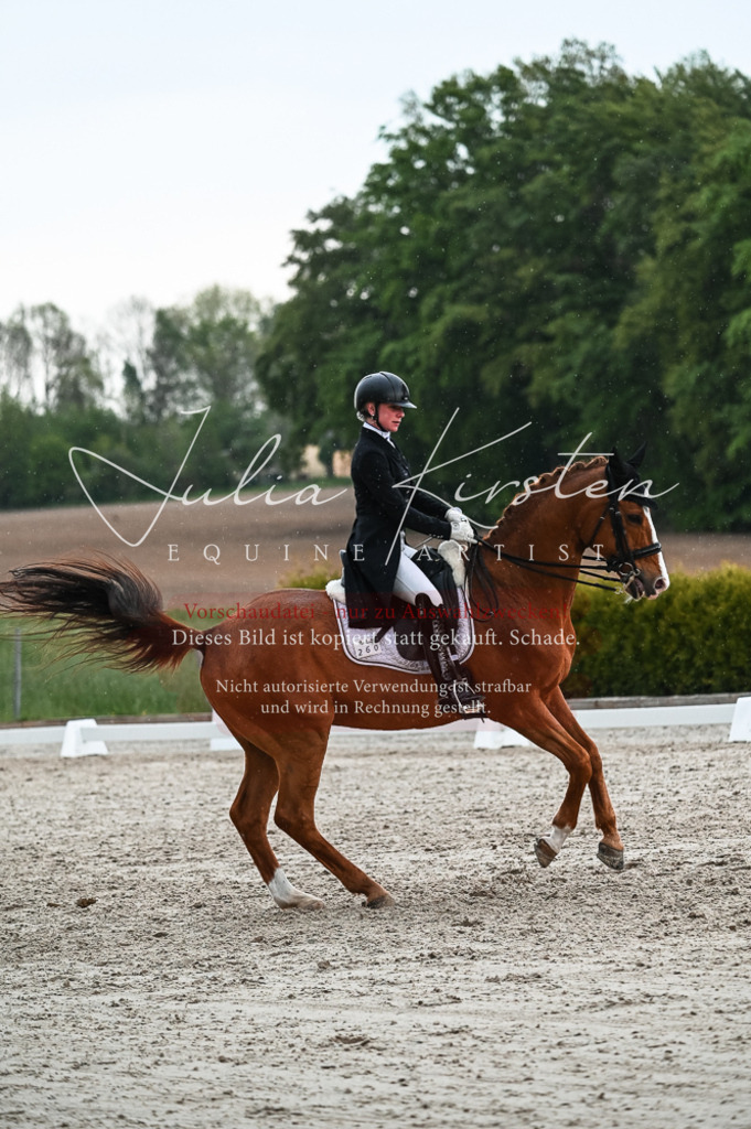 20230514_JK-Röhrsdorf-21-675 | Pferde- und Turnierfotografie in Westsachsen. Pferdeportraits, Auftragszeichnungen und intuitive Kunst.