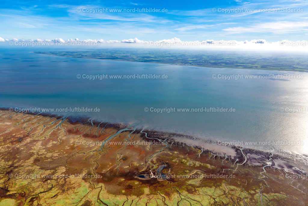 Spiekeroog_ELS_6856091022 | SPIEKEROOG 09.10.2022 Küsten- Landschaft der Seegraßwiesen in Spiekeroog im Bundesland Niedersachsen, Deutschland. // Coastal landscape of the seagrass meadows in Spiekeroog in the state Lower Saxony, Germany. Foto: Martin Elsen