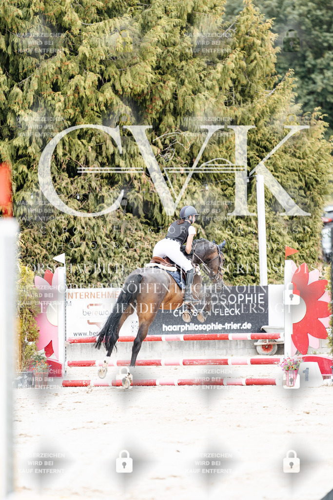 CK907950 | Turnierfotografie Pferdefotografie Trier Rheinland-Pfalz Pferdesport Reitsport Tierfotografie Sportfotografie Pferdevideo Pferdevideografie Equestrianvideography equestrianphotography  - Realisiert mit Pictrs.com