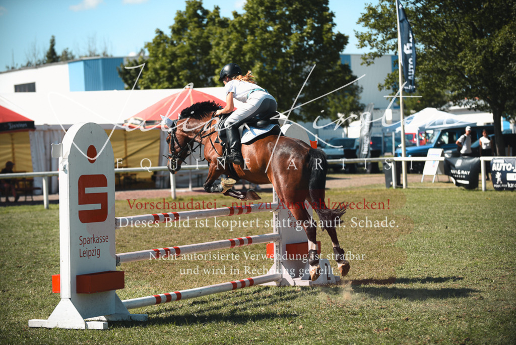 DSC_7278 | Pferde- und Turnierfotografie in Westsachsen. Pferdeportraits, Auftragszeichnungen und intuitive Kunst.