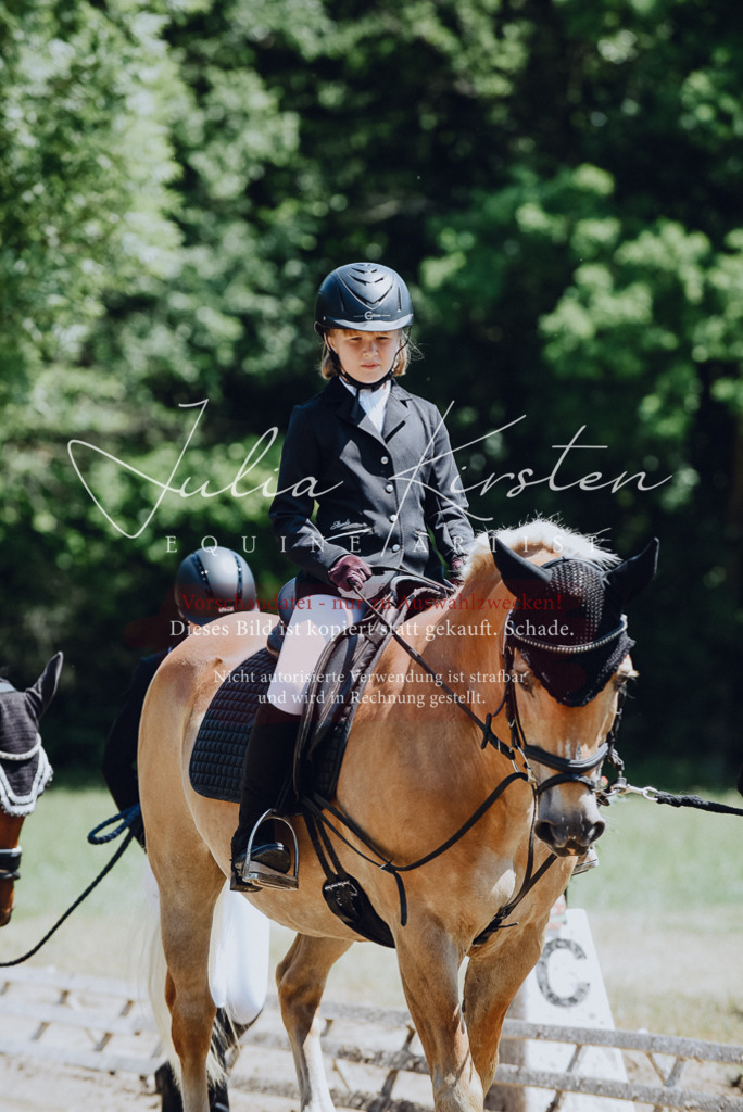 DSC_2102 | Pferde- und Turnierfotografie in Westsachsen. Pferdeportraits, Auftragszeichnungen und intuitive Kunst.
