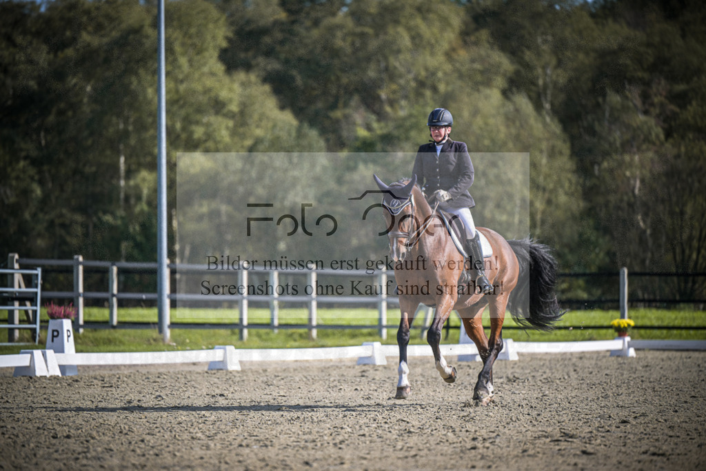 DOS_1156 | Entdecke hochwertige Reitturnierfotos von Foto Oger. Professionell, emotional und authentisch – jetzt Lieblingsmomente im Shop bestellen.Deutschlandweite Turnierfotografie. - Realisiert mit Pictrs.com