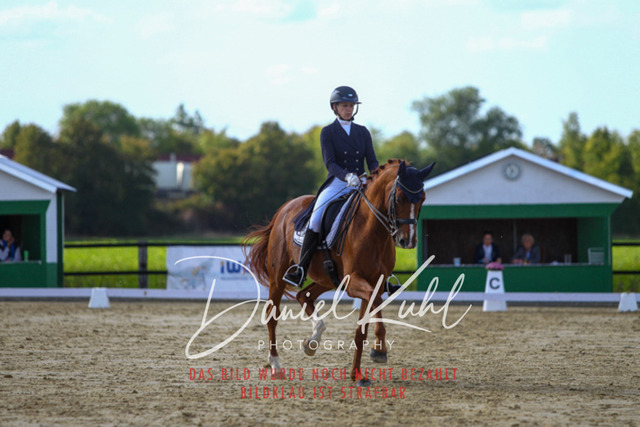 DKP45612 | Turniersportfotografie; Pferdefotografie; Dressurfotografie