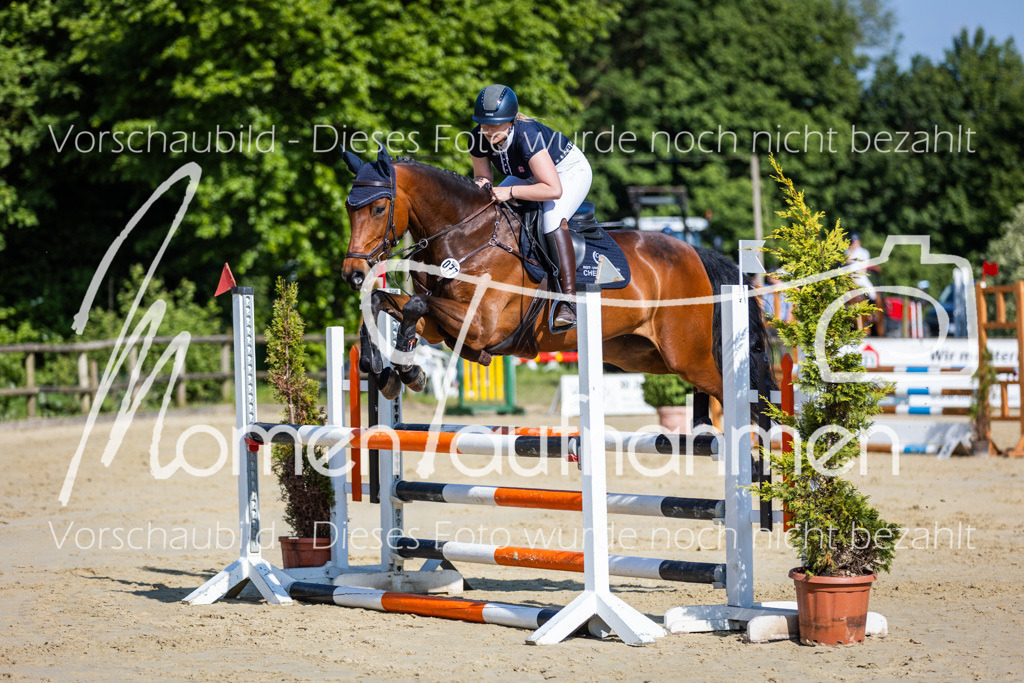 Donop24-ASpr-042 | MomenTaufnahmen Pferdesportfotos