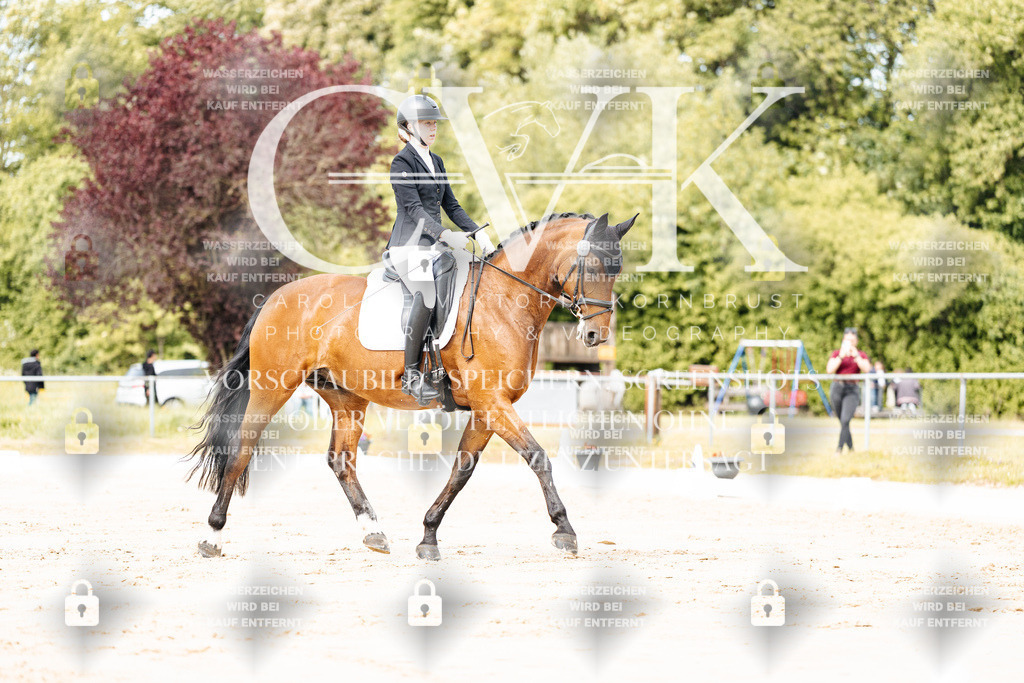 CK900949 | Turnierfotografie Pferdefotografie Trier Rheinland-Pfalz Pferdesport Reitsport Tierfotografie Sportfotografie Pferdevideo Pferdevideografie Equestrianvideography equestrianphotography  - Realisiert mit Pictrs.com