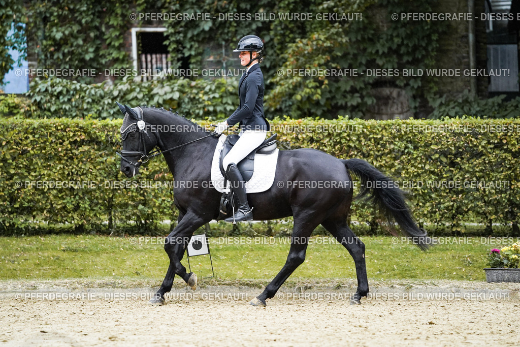 DSC00199 | Pferdegrafie