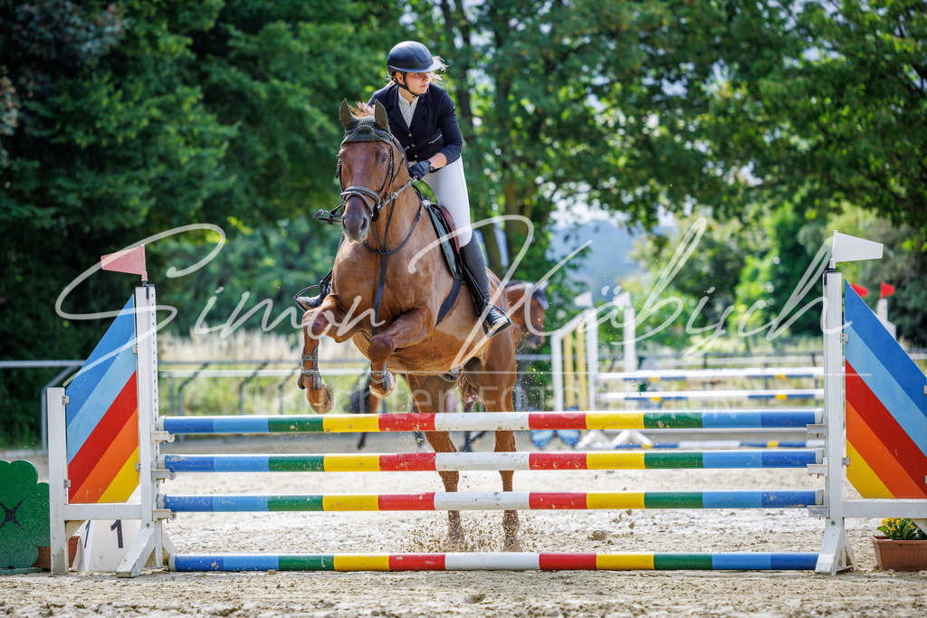 20260705-_3LI4147 | Tierfotografie Pferde, Hunde, Katzen, Haustiere.
Turnierfotografie Reitturniere, Reiten, Springreiten, Dressur in Hanau, dem Main-Kinzig-Kreis und dem Rhein-Main- Gebiet um Frankfurt