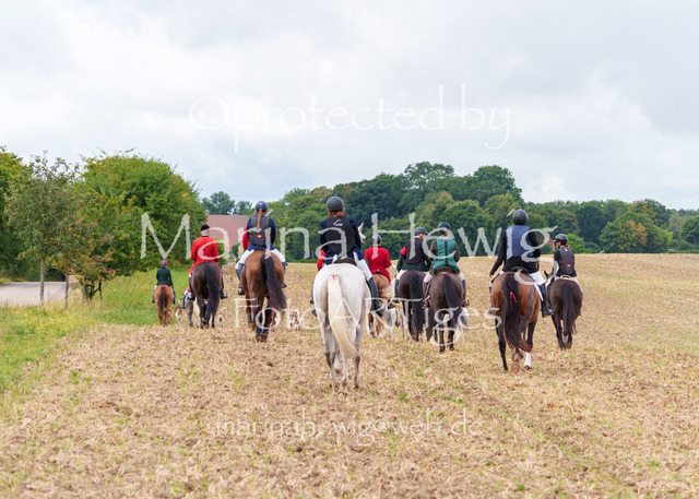 Jagd Knoop 26_MarinaHewigMCH02370 | Fotografie, FotoArt, PferdesportArt, Pferdesportfotografie, Landschaftsfotografie, Reisefotografie, Reise, Pferde - Realisiert mit Pictrs.com