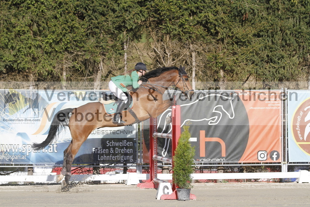 _MG_8263 | equestrian-live-com