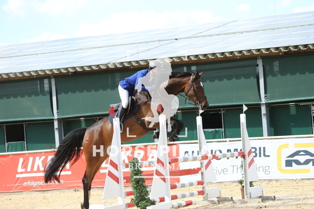 DL2Q6699 | Willkommen bei Brunnmayr - Design & Fotografie – Ihrem Spezialisten für Reitturniere und Pferdeveranstaltungen in Oberösterreich, Salzburg und Bayern! Seit über 17 Jahren sind wir leidenschaftlich dabei.