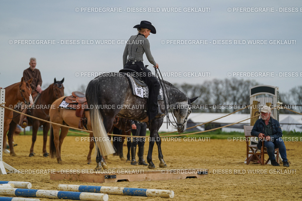 DSC02375 | Pferdegrafie