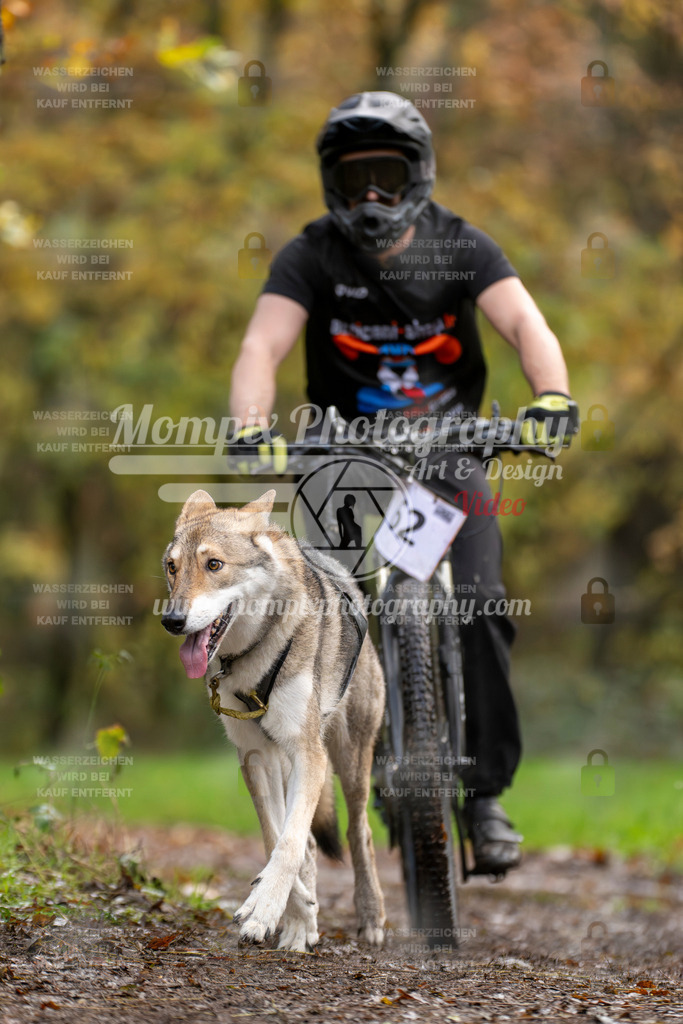 MompixPhotography_Bischwiller23_Bike-52 | PayLife