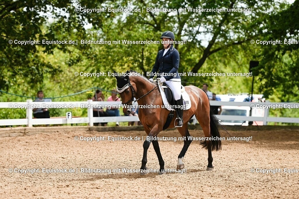 20230716_03_Dressurprfg. Kl.L - Tr._0651 | equistock