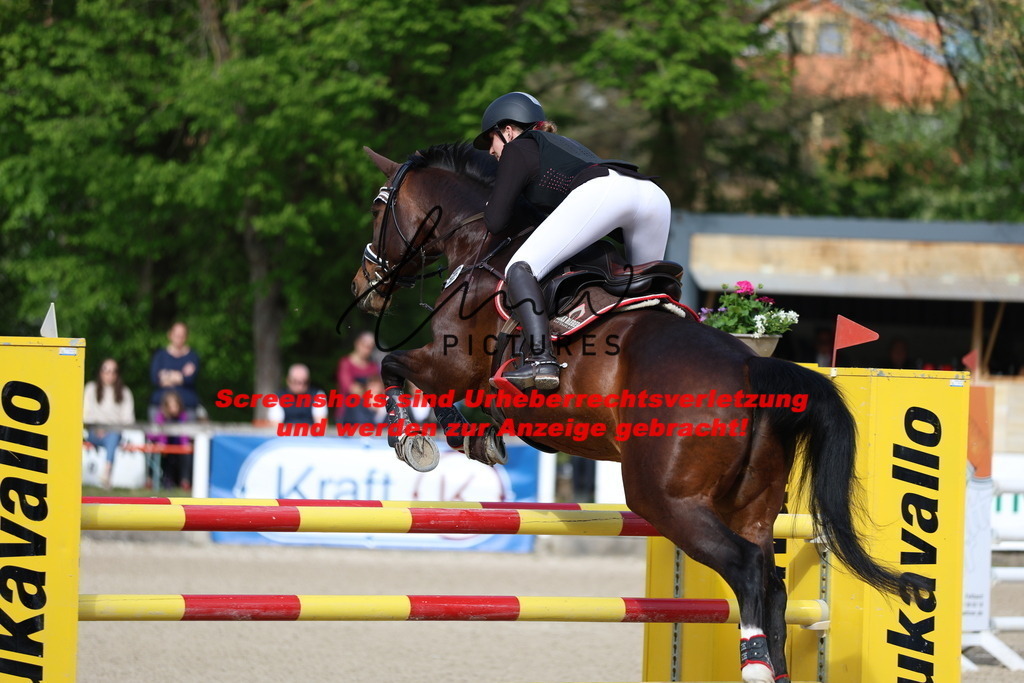 A40A2852 | lmwpictures - Realisiert mit Pictrs.com