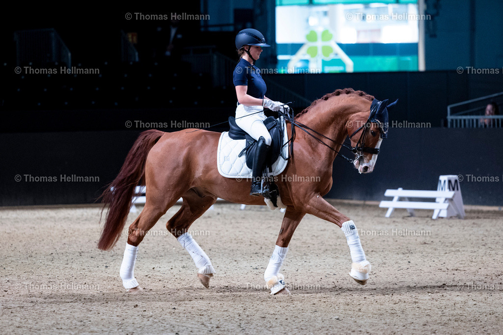 TH_Katharina Hemmer_27062 | EQUITANA 2025 am 10.03.25 in Essen