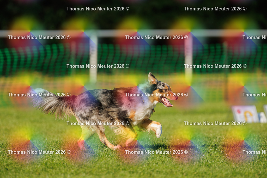 Thomas_Nico_Meuter(C)_04. Oktober 2026_223A3937 | Bild von Thomas Nico Meuter - Realisiert mit Pictrs.com
