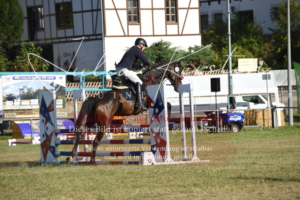 DSC_5120 | Pferde- und Turnierfotografie in Westsachsen. Pferdeportraits, Auftragszeichnungen und intuitive Kunst.