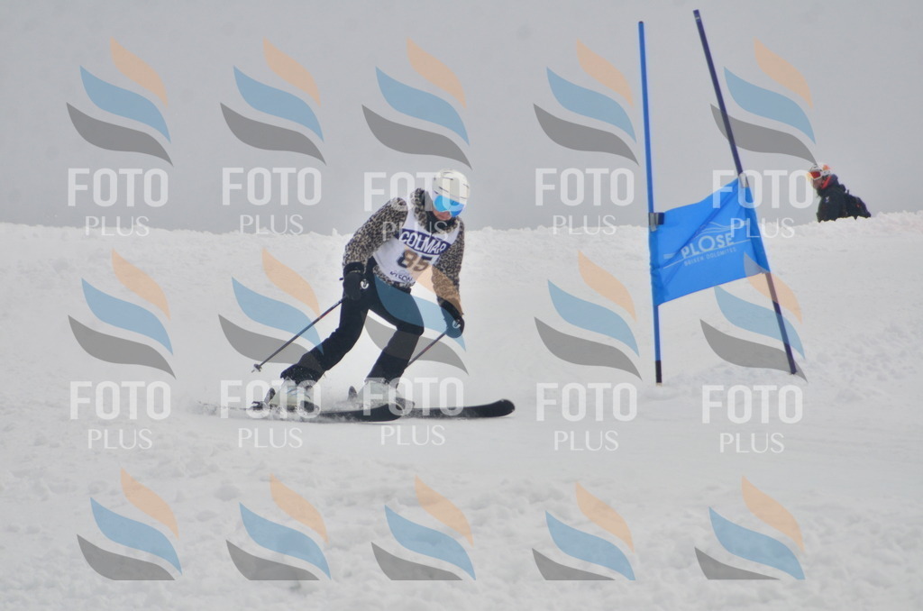 A5727 | holidayphoto