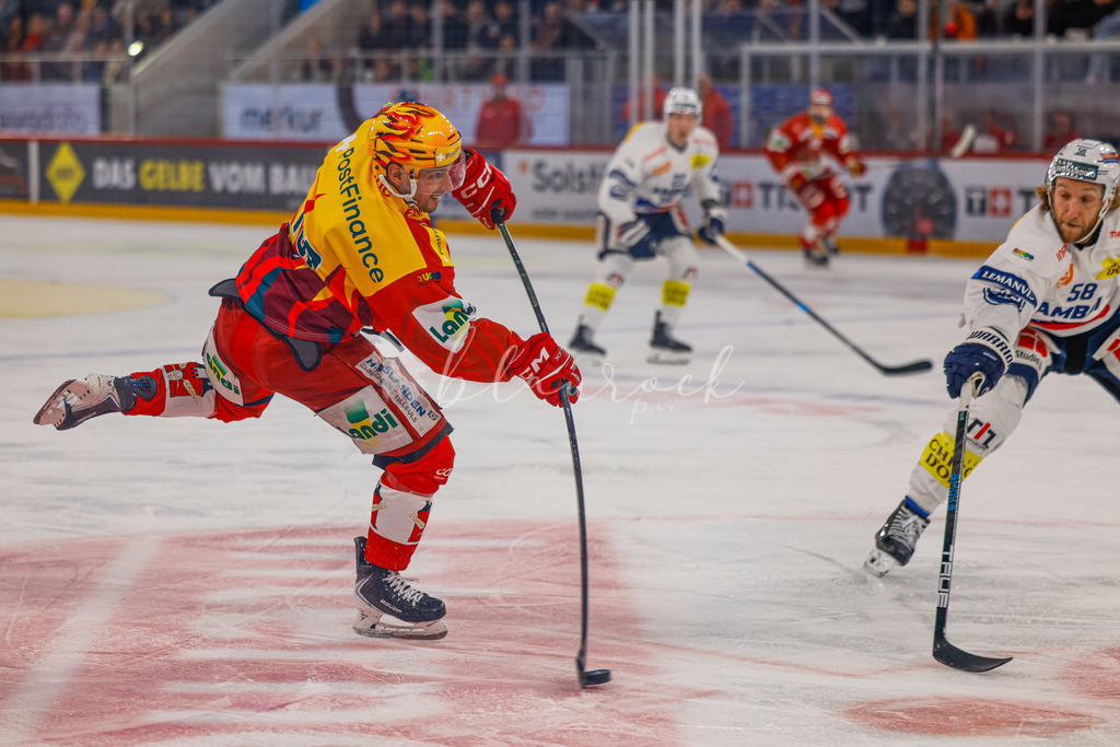 EHCB vs HCAP 20260115_wb-4237 | Sportbilder, Sportfotograf, Hochzeits- und Eventfotografin, Flugshows, Portraits und Tiershooting, Aviation, Downhill, Nationalleague, Swissleague, International