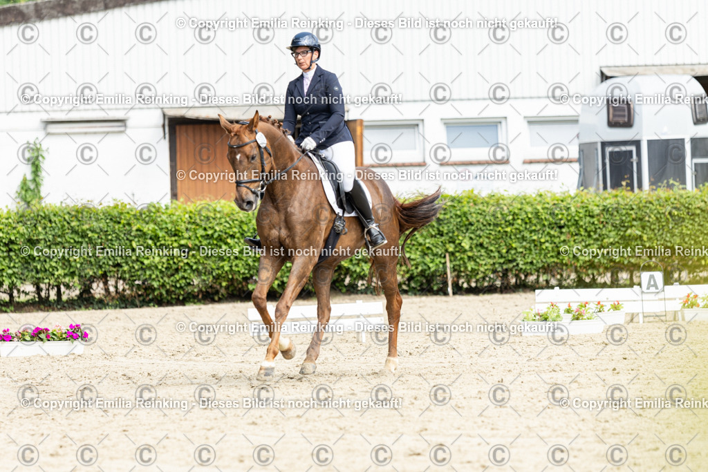 CL5A5068-2 | Emilia Reinking Fotografie - Realisiert mit Pictrs.com