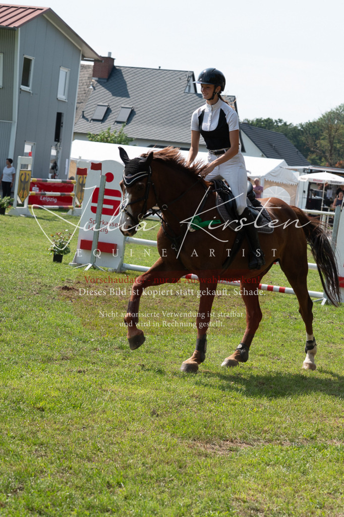 DSC_0700 | Pferde- und Turnierfotografie in Westsachsen. Pferdeportraits, Auftragszeichnungen und intuitive Kunst.
