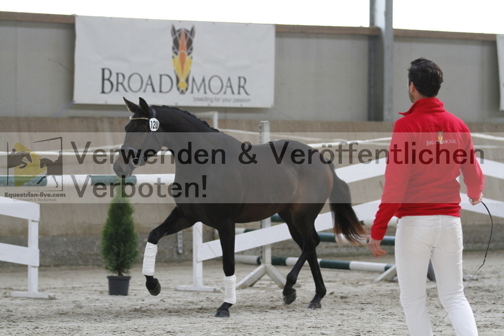 _MG_9458 | equestrian-live-com