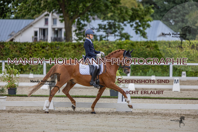 DRE L 6j (143 von 969) | mandyhollmannphotographie
