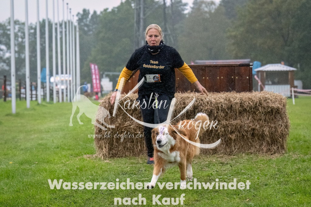 0911-_ZZ93483-Bearbeitet | kk-dogfotos