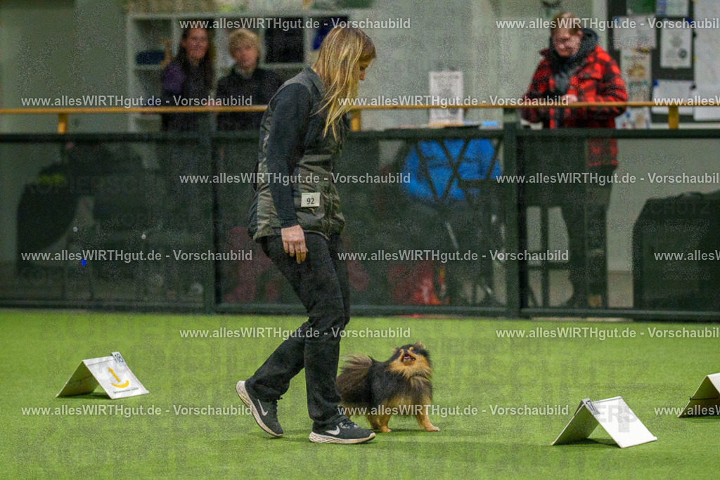 7R508938 | Professionelle Tierfotografie in Mönchengladbach von Daniel Wirth (allesWIRTHgut). Liebevolle & natürliche Bilder von Hunden & Katzen für unvergessliche Erinnerungen.