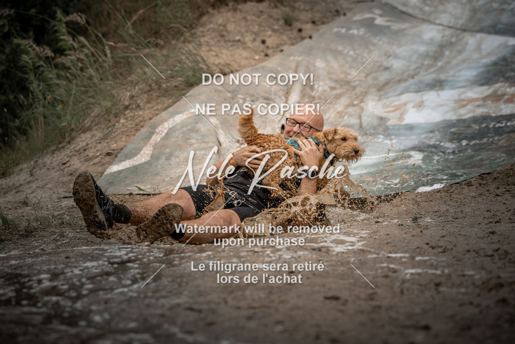 nelerasche_sa1345-1430_365 | nelerasche