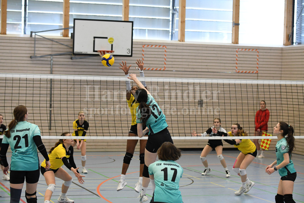 TSV Deggendorf Damen  : FC Ruderting | TSV Deggendorf Damen Volleyball - Realisiert mit Pictrs.com