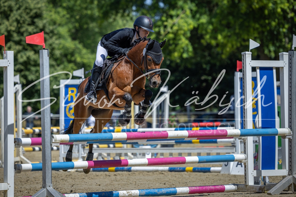 20260704-_3LI8048 | Tierfotografie Pferde, Hunde, Katzen, Haustiere.
Turnierfotografie Reitturniere, Reiten, Springreiten, Dressur in Hanau, dem Main-Kinzig-Kreis und dem Rhein-Main- Gebiet um Frankfurt