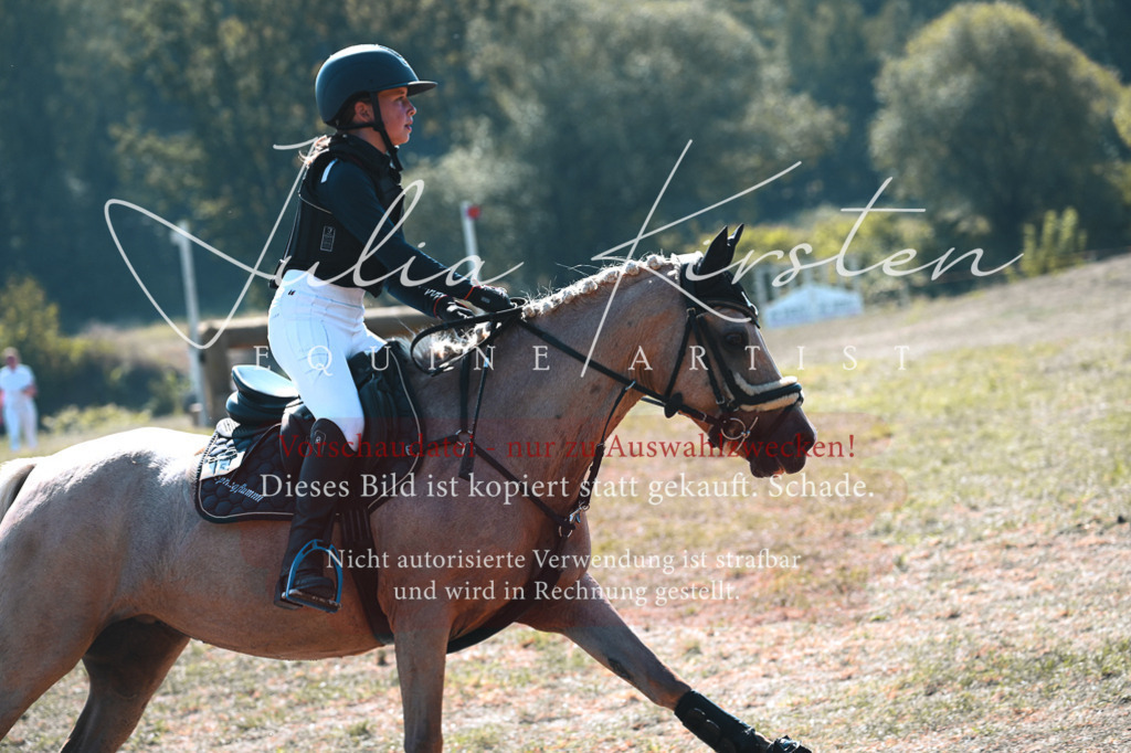 DSC_7933 | Pferde- und Turnierfotografie in Westsachsen. Pferdeportraits, Auftragszeichnungen und intuitive Kunst.