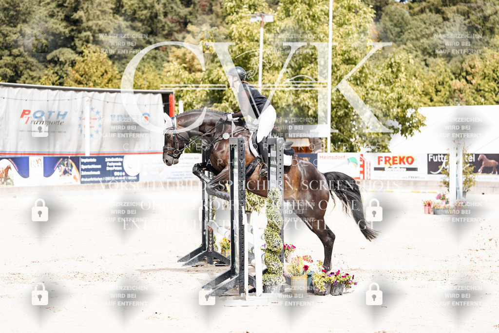 CK906646 | Turnierfotografie Pferdefotografie Trier Rheinland-Pfalz Pferdesport Reitsport Tierfotografie Sportfotografie Pferdevideo Pferdevideografie Equestrianvideography equestrianphotography  - Realisiert mit Pictrs.com