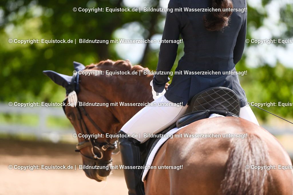 20230716_03_Dressurprfg. Kl.L - Tr._0317 | equistock