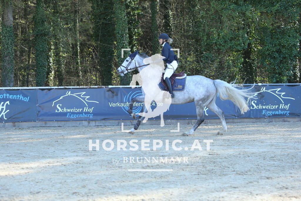 DL2Q1343 | Willkommen bei Brunnmayr - Design & Fotografie – Ihrem Spezialisten für Reitturniere und Pferdeveranstaltungen in Oberösterreich, Salzburg und Bayern! Seit über 17 Jahren sind wir leidenschaftlich dabei.