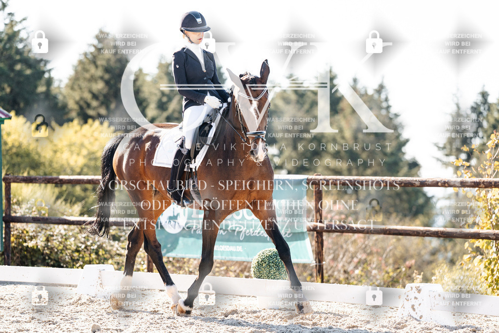 CK906430 | Turnierfotografie Pferdefotografie Trier Rheinland-Pfalz Pferdesport Reitsport Tierfotografie Sportfotografie Pferdevideo Pferdevideografie Equestrianvideography equestrianphotography  - Realisiert mit Pictrs.com