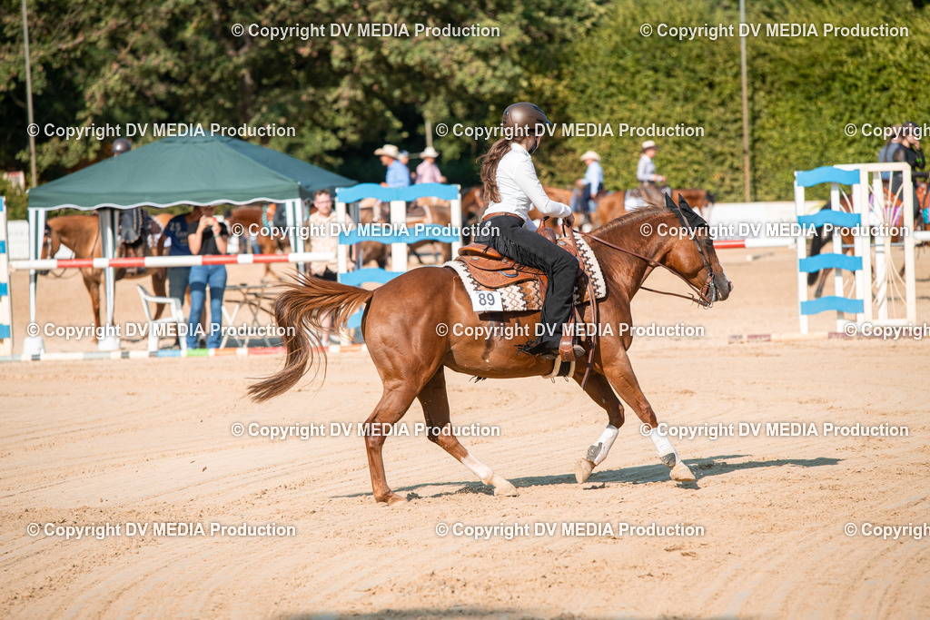 ZS2_8822 | dv-media-shop - Realisiert mit Pictrs.com