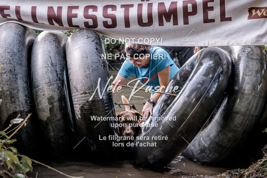 nelerasche_Hunsrück2026_Sa1400-1500_95 | nelerasche